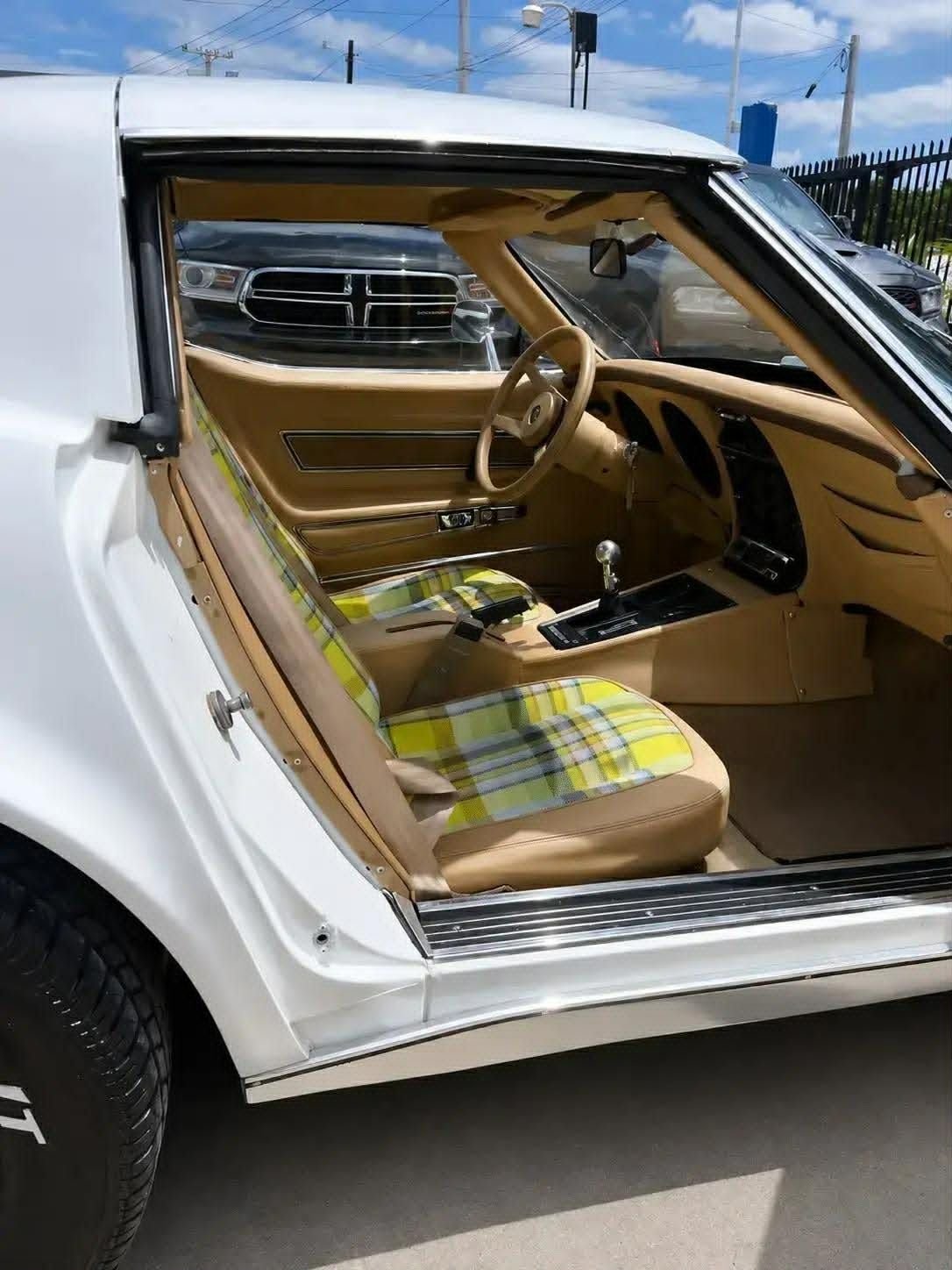 1976 Chevrolet Corvette, foto 7