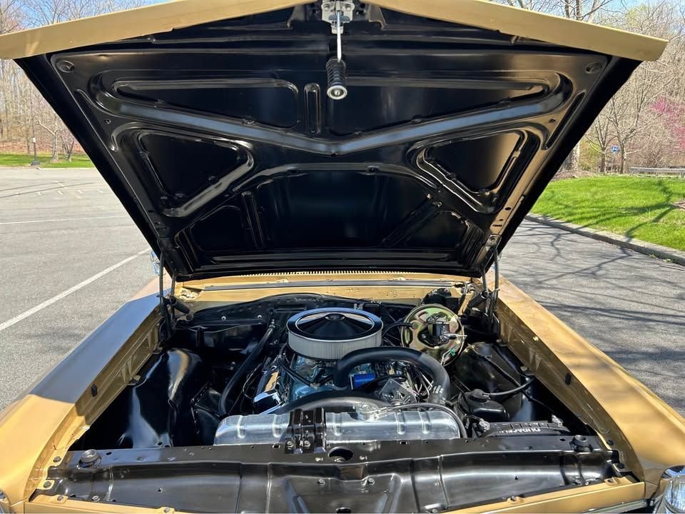 1967 Pontiac GTO - coupe, foto 4
