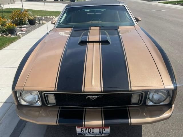 1973 Ford Mustang, foto 8