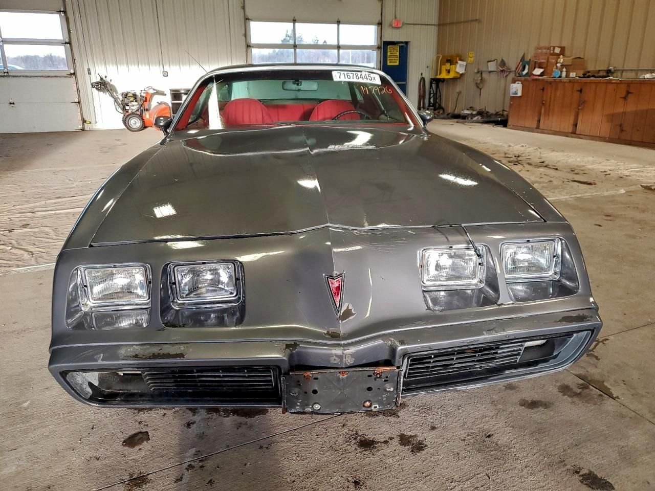1981 Pontiac Firebird, foto 4