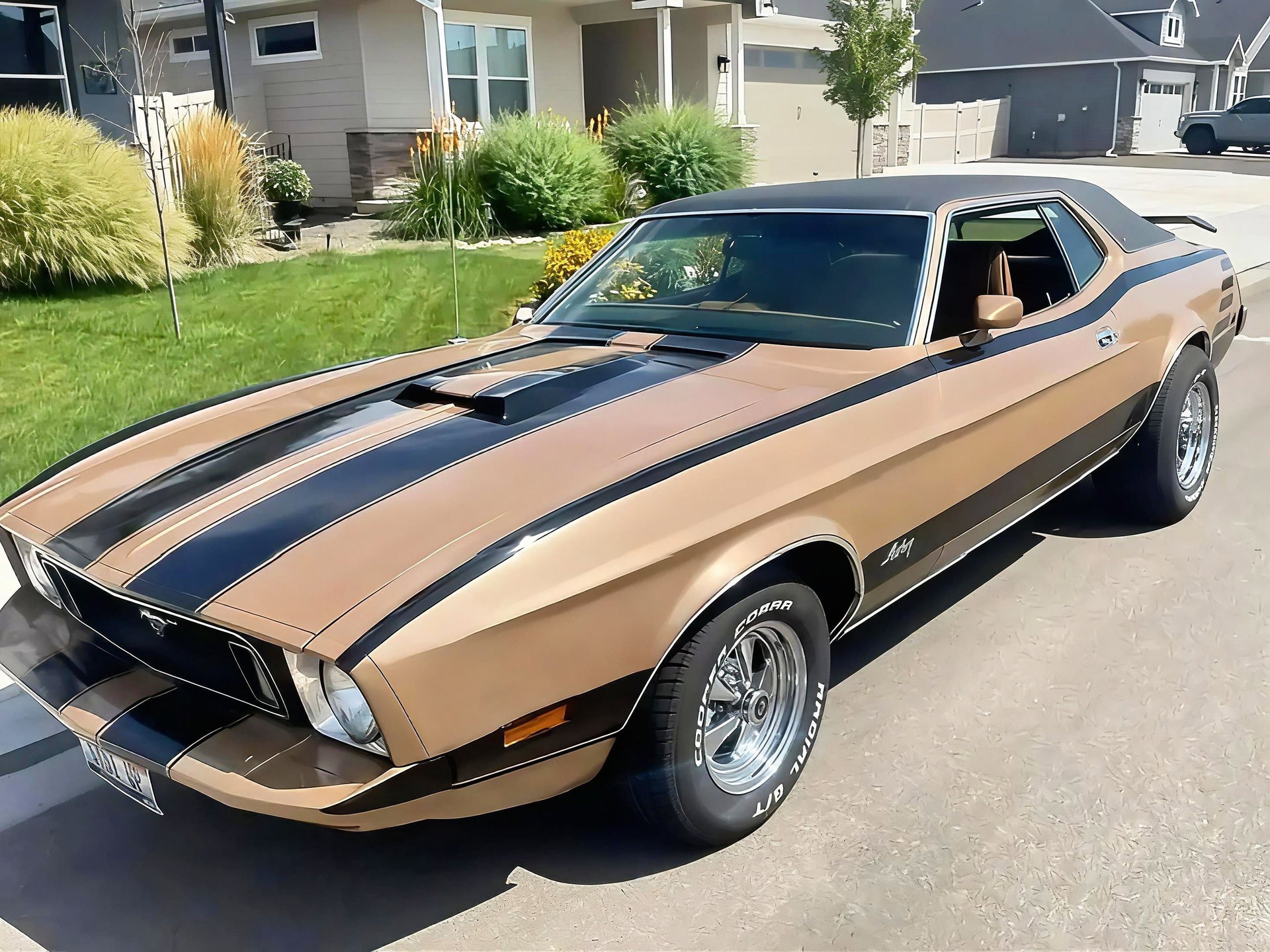 1973 Ford Mustang, foto 1