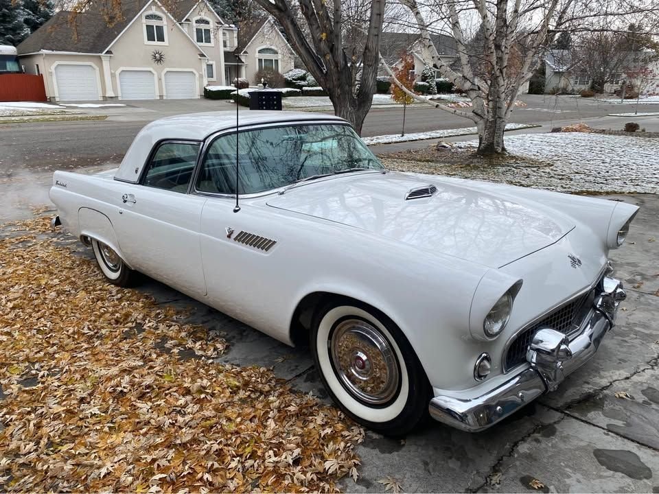 1955 Ford Thunderbird, foto 2