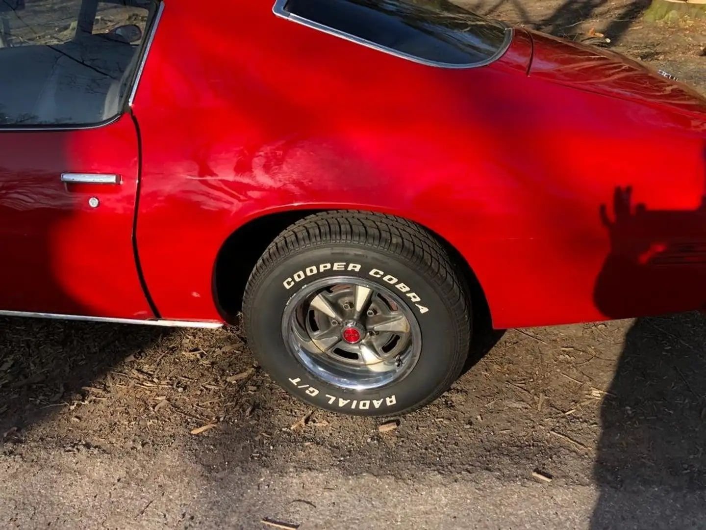 1974 Pontiac Firebird, foto 4