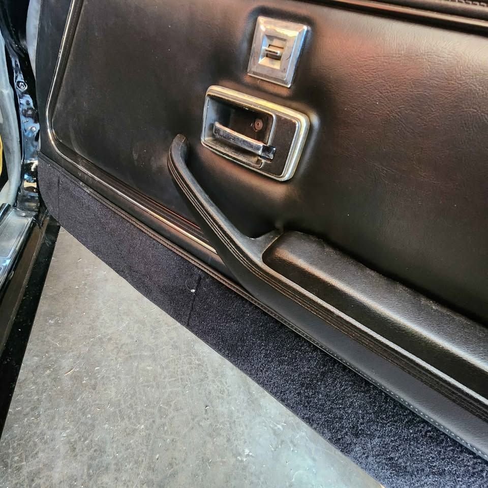 1979 Pontiac Firebird, foto 11
