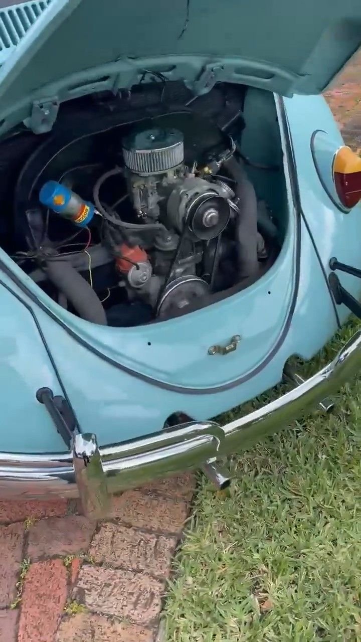 1966 VW Beetle - Euro Model, foto 10
