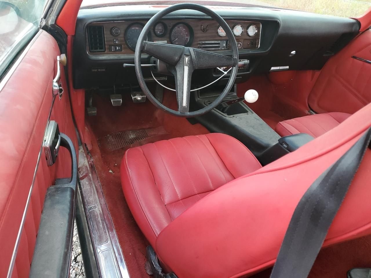 1981 Pontiac Firebird, foto 10