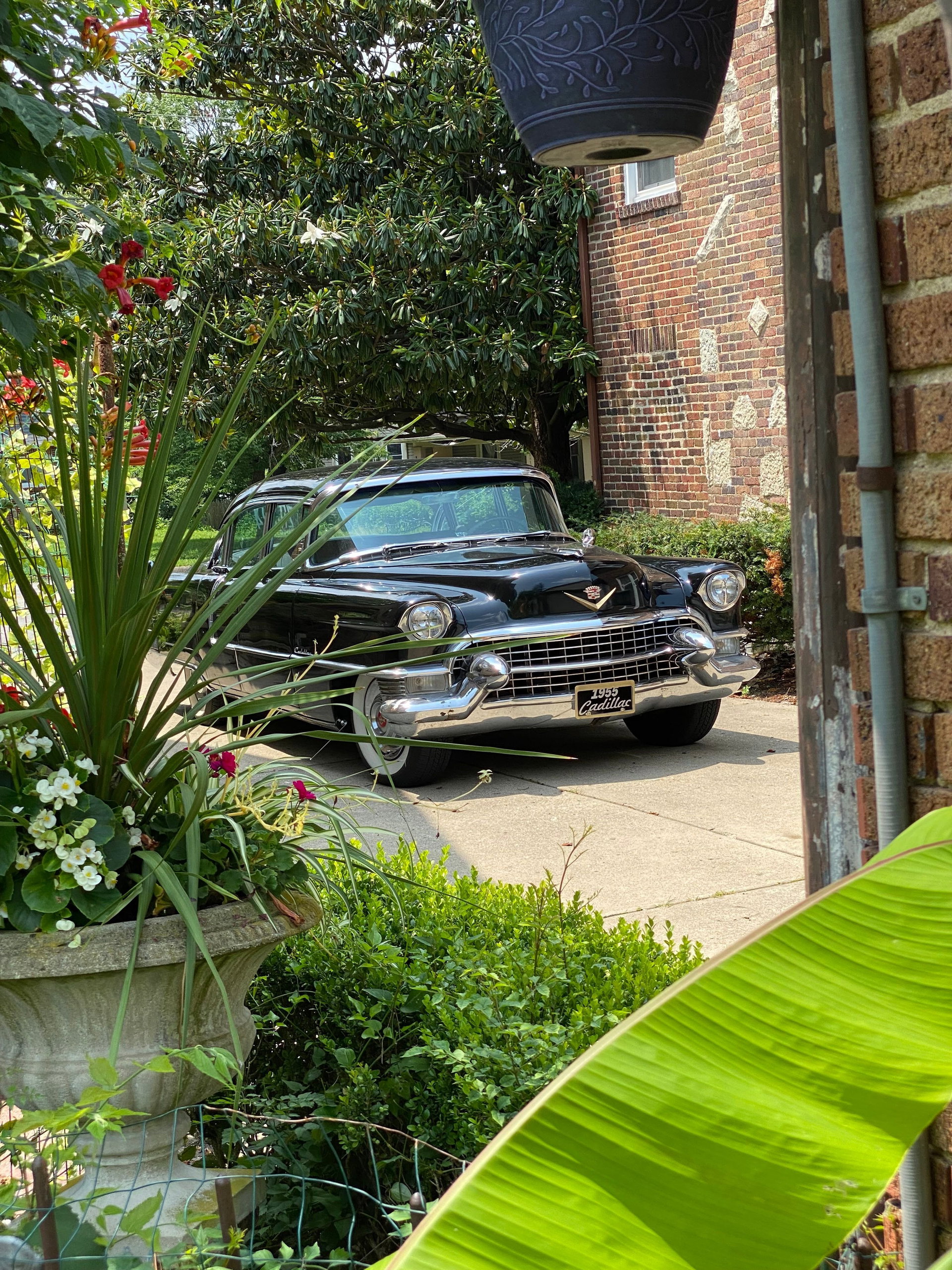 1955 Cadillac Fleetwood, foto 4