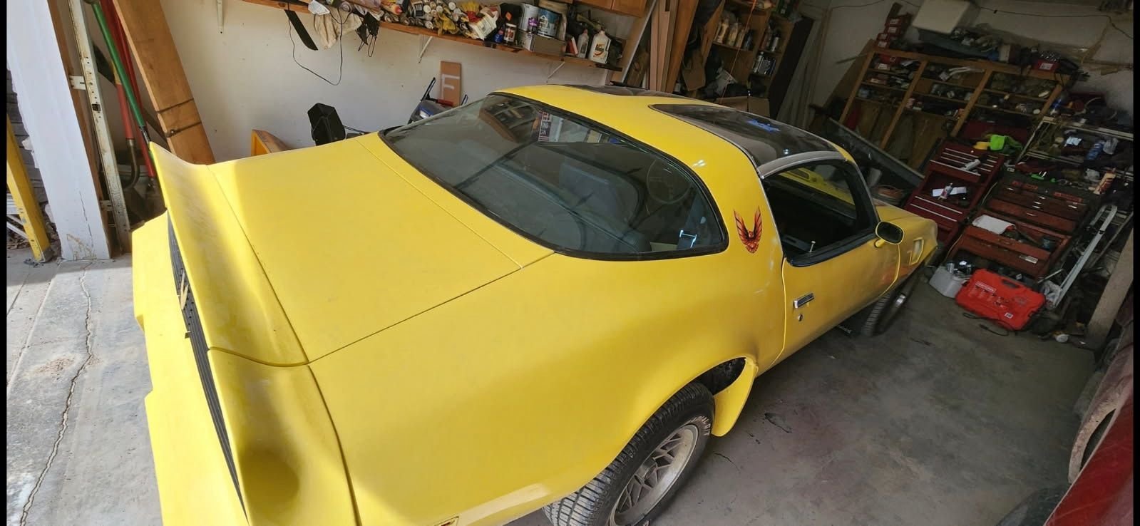 1979 Pontiac Firebird, foto 5