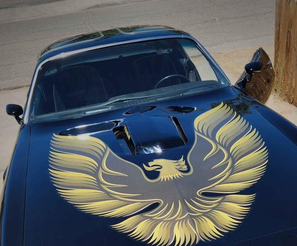 1979 Pontiac Firebird, foto 3