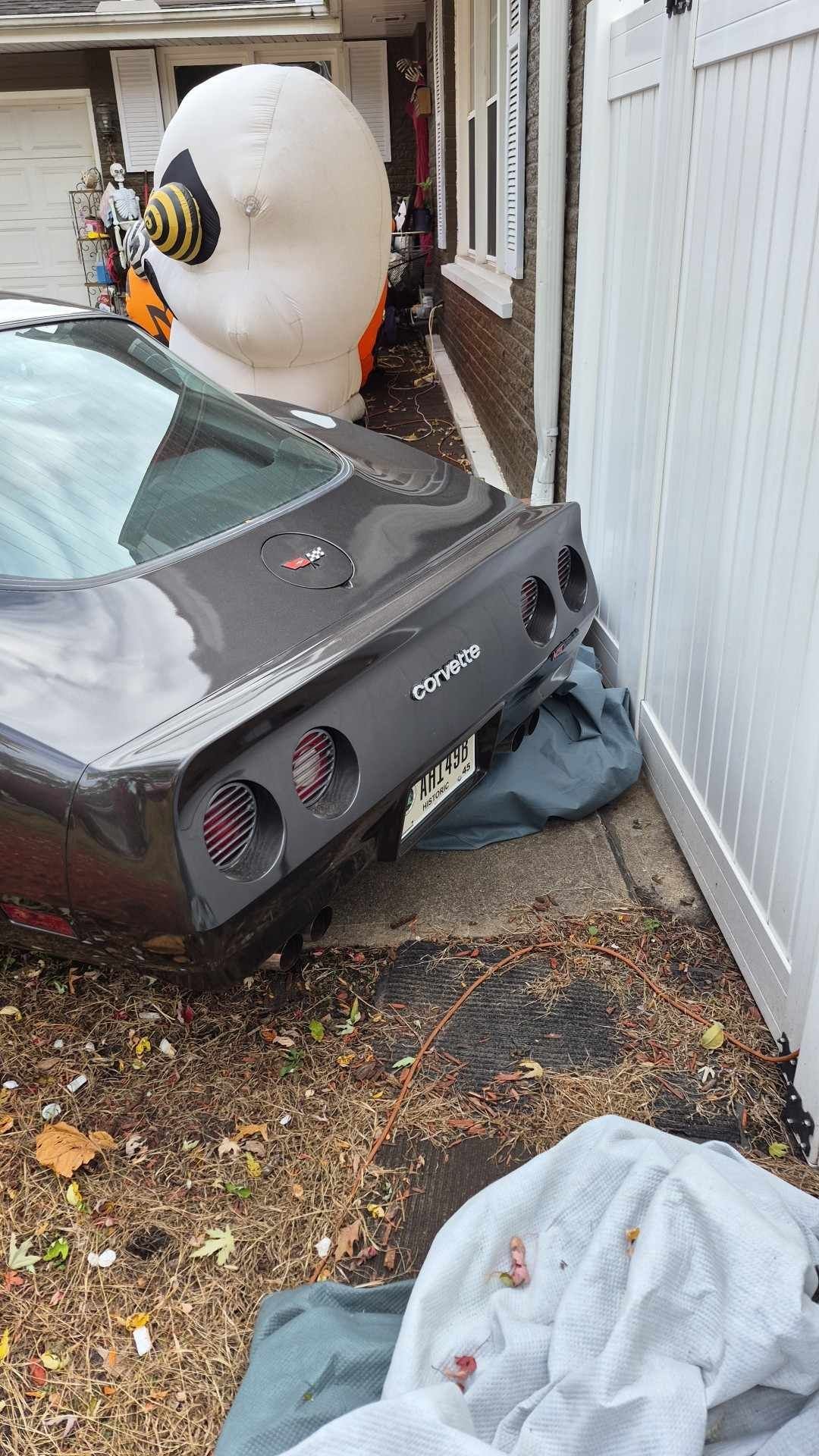 1982 Chevrolet Corvette - hard-top, foto 7