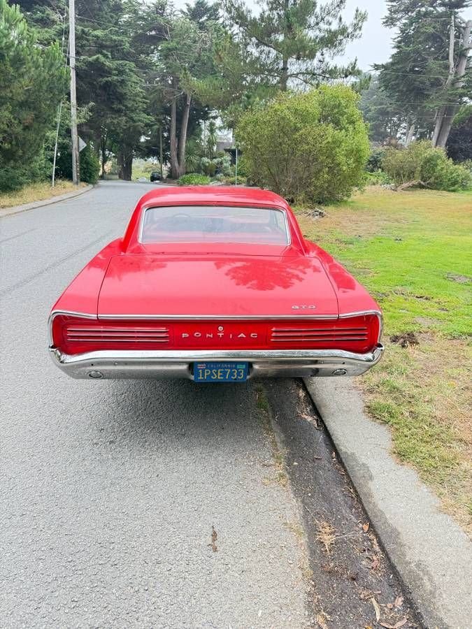 1966 Pontiac GTO - Tri-Fuel, foto 2