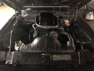 1979 Pontiac Trans Am, foto 8