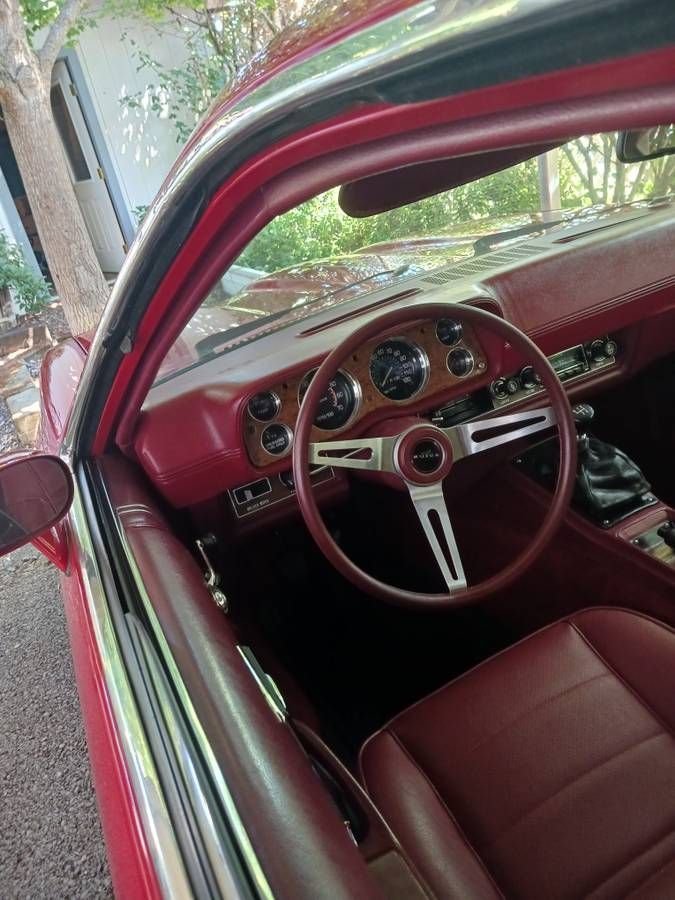 1975 Buick Skyhawk, foto 7