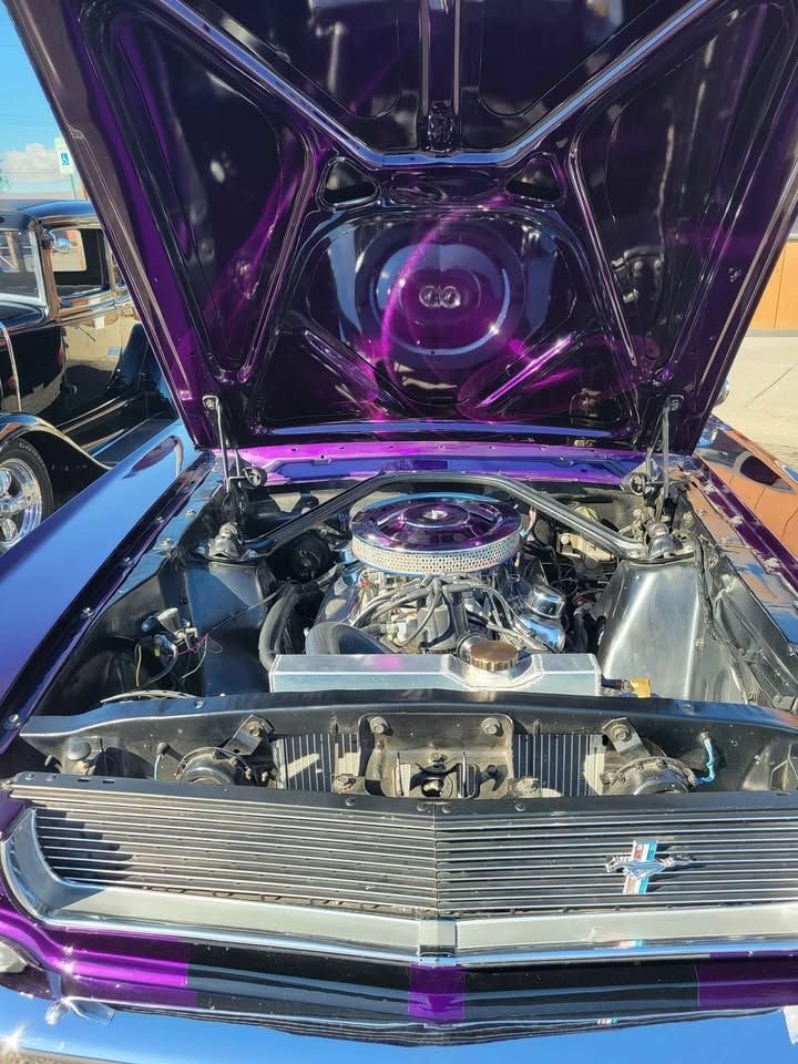 1966 Ford Mustang - Boss 302, foto 12