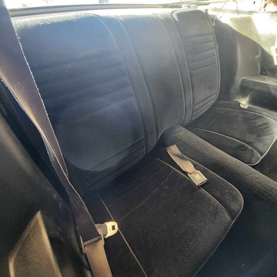1979 Pontiac Firebird, foto 10