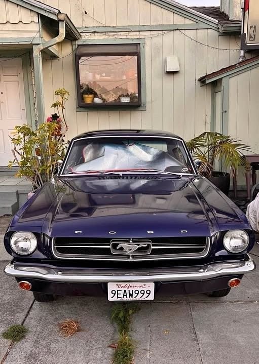 1965 Ford Mustang, foto 5