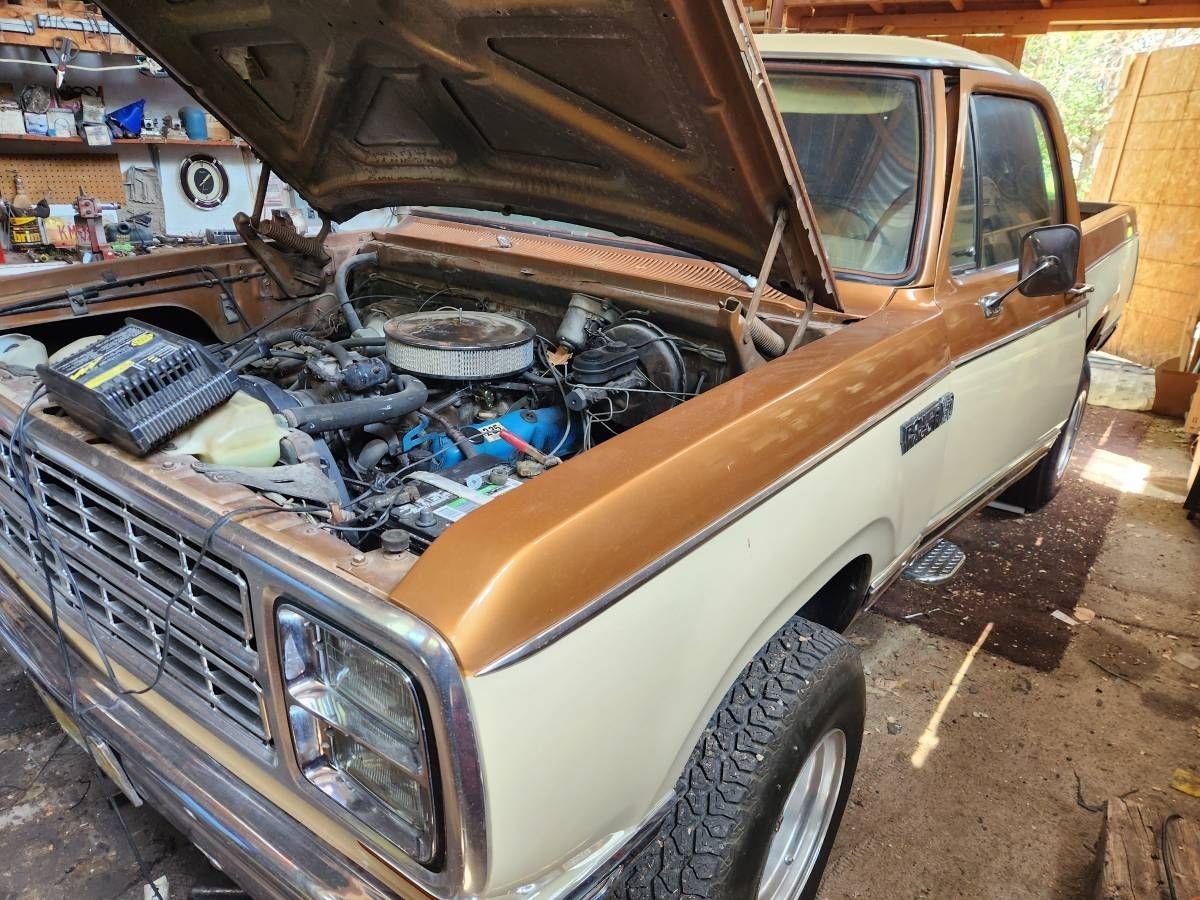 1979 Dodge Power Wagon, foto 2