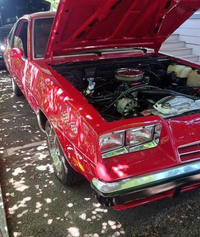 1975 Buick Skyhawk, foto 5
