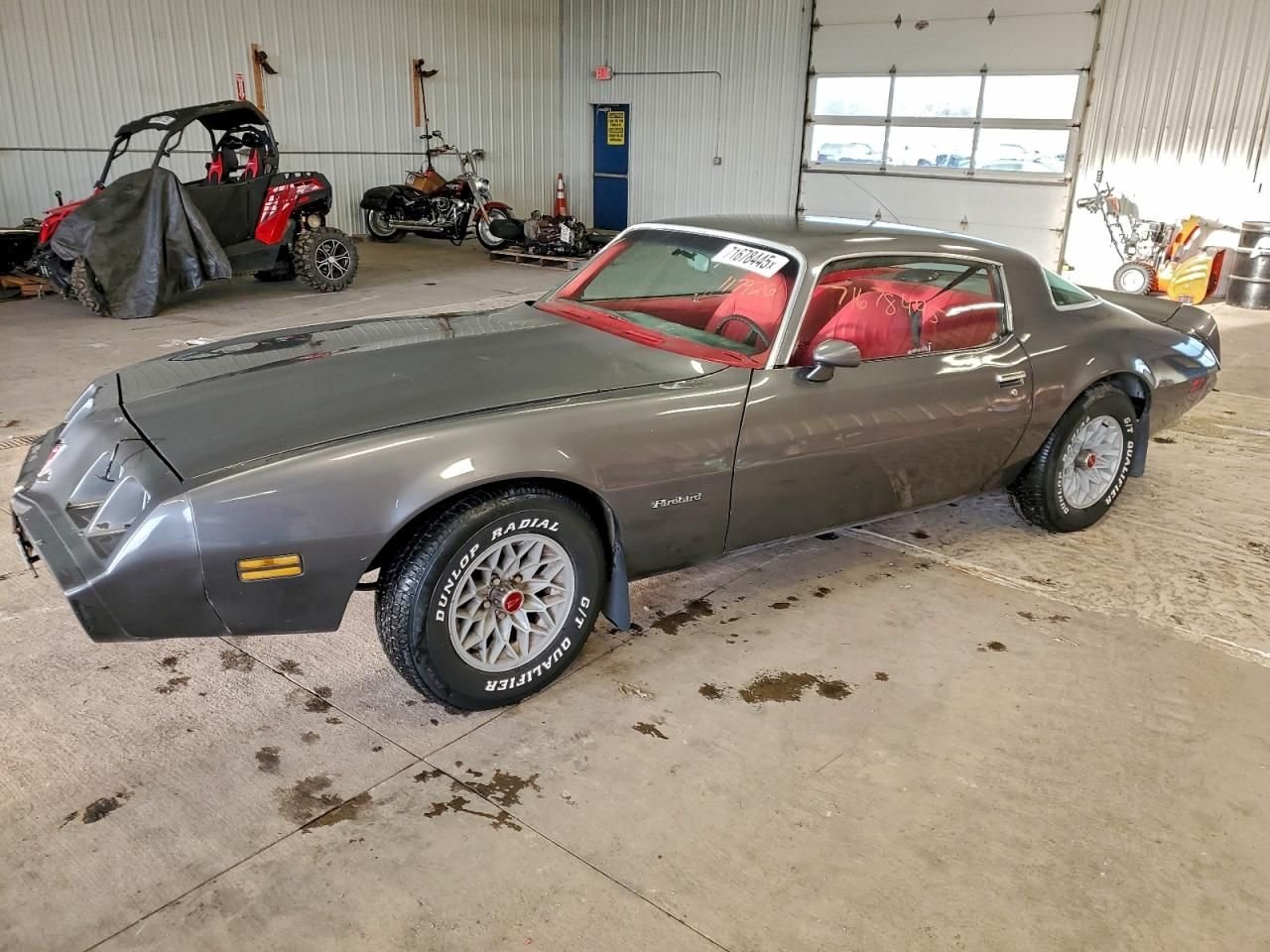 1981 Pontiac Firebird, foto 5