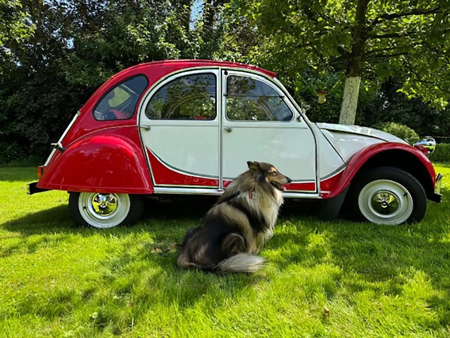 1989 Citroen 2CV - Charleston, foto 5