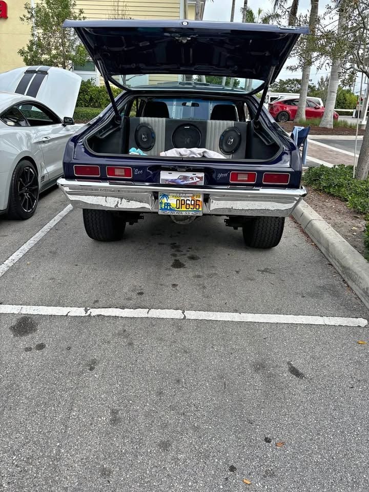 1973 Chevrolet Malibu, foto 6