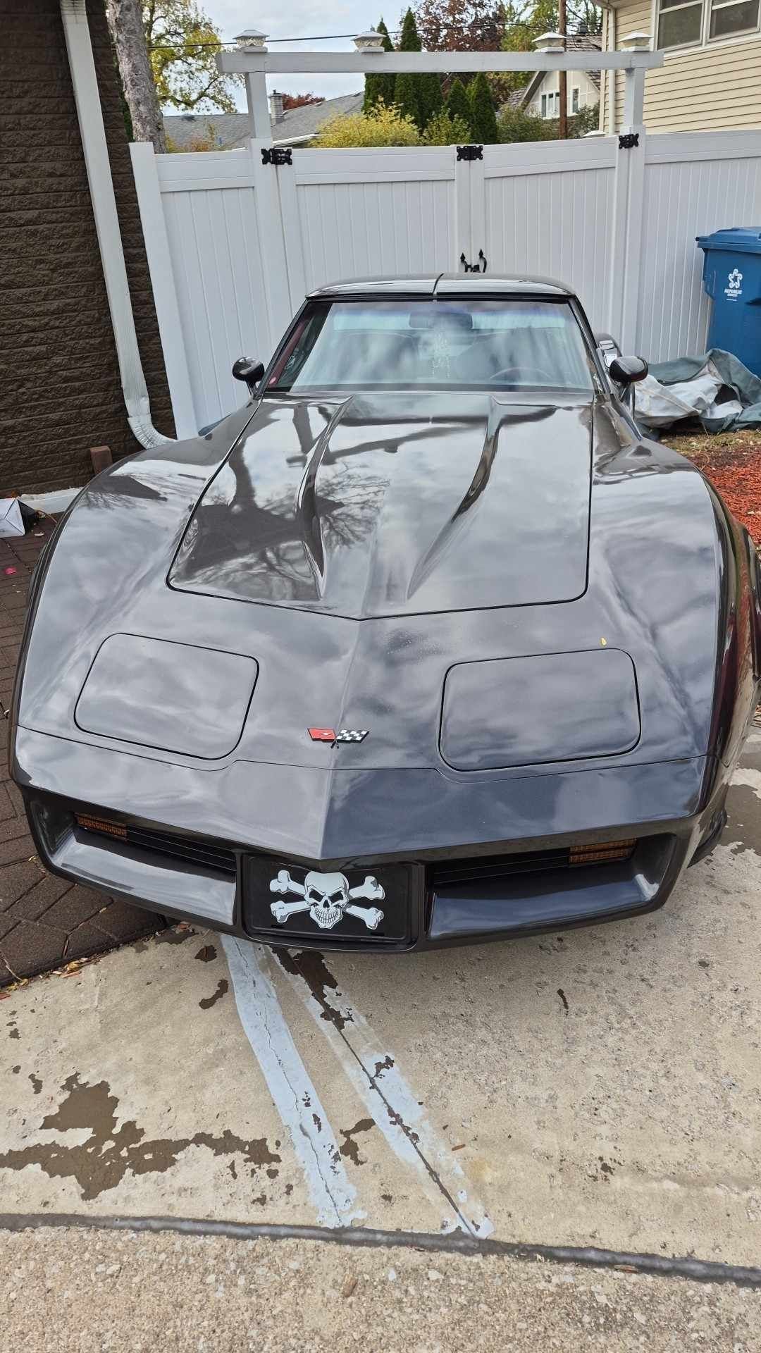 1982 Chevrolet Corvette - hard-top, foto 2