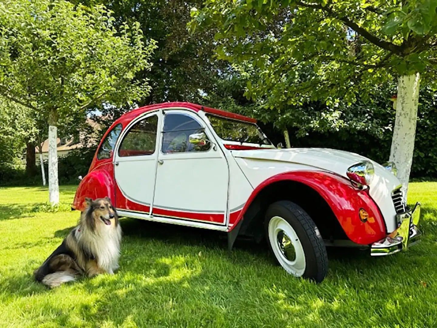 1989 Citroen 2CV - Charleston, foto 4