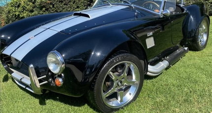 1965 Shelby Cobra ed3fa2b9addd8c59f85084f319f01d0f.jpeg