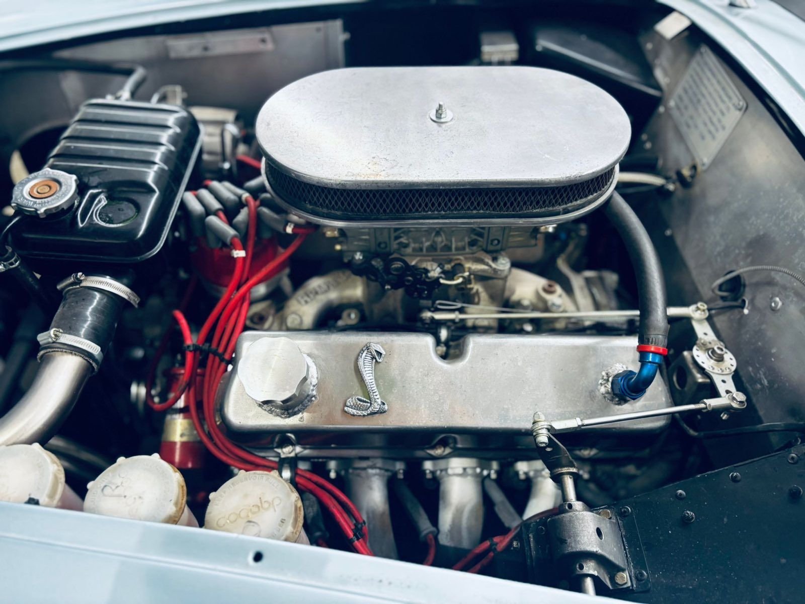 1966 AC Cobra, foto 11