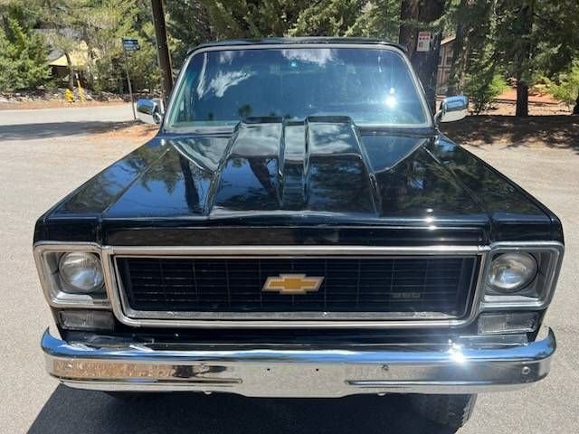 1973 Chevrolet, foto 10