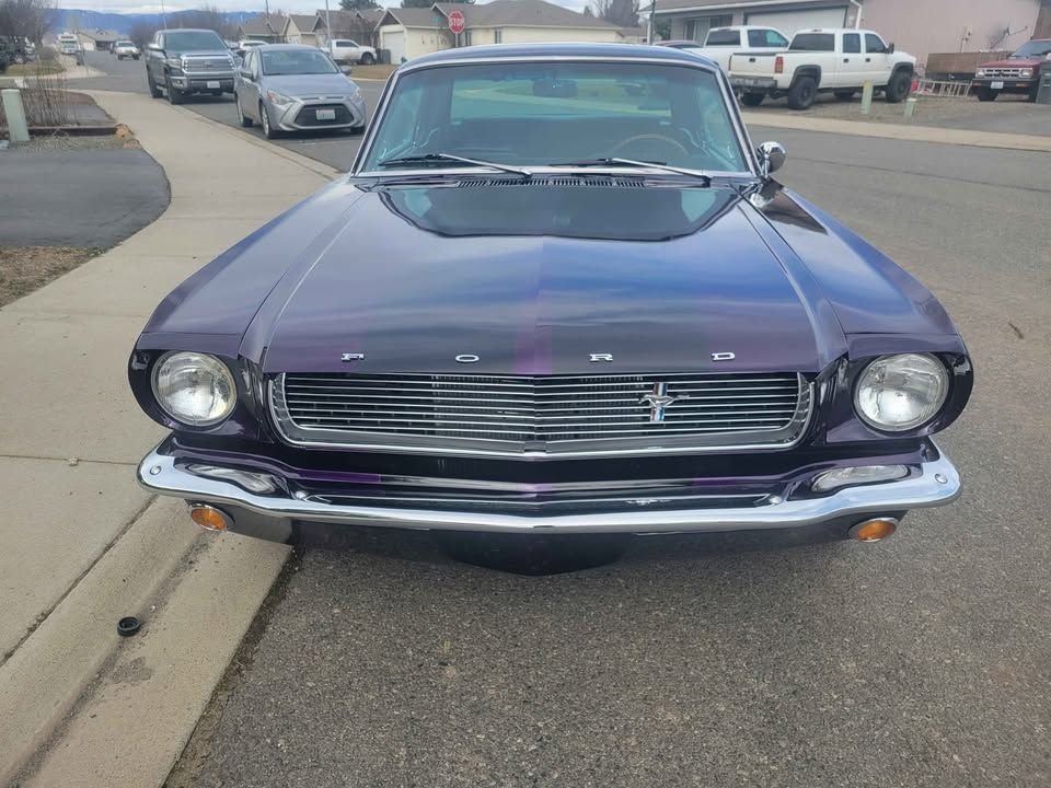 1966 Ford Mustang - Boss 302, foto 2