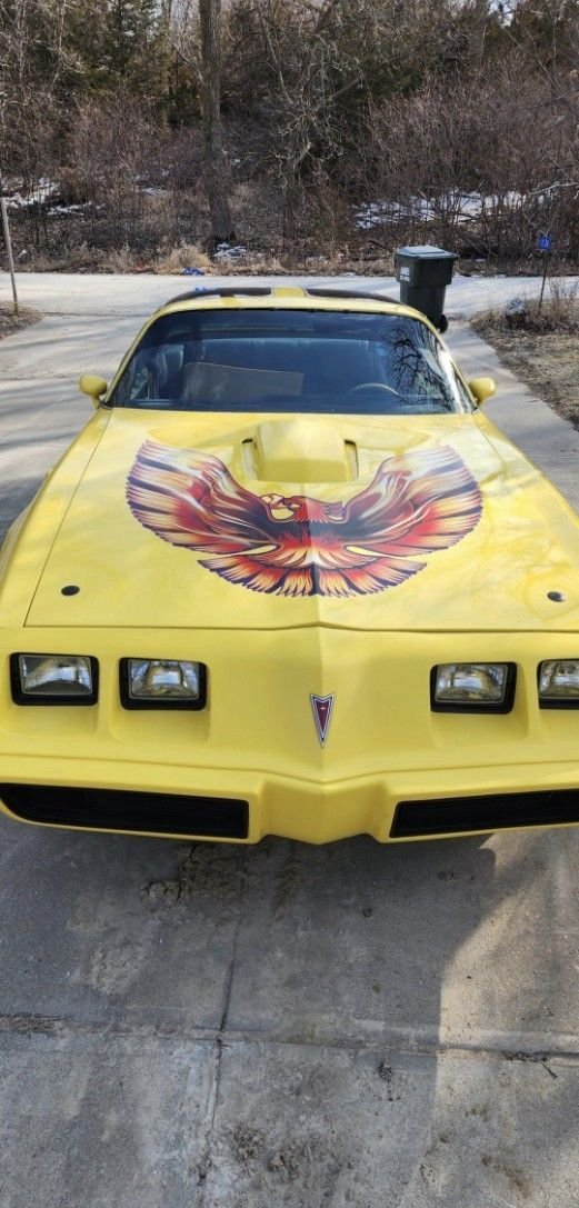 1979 Pontiac Firebird, foto 3