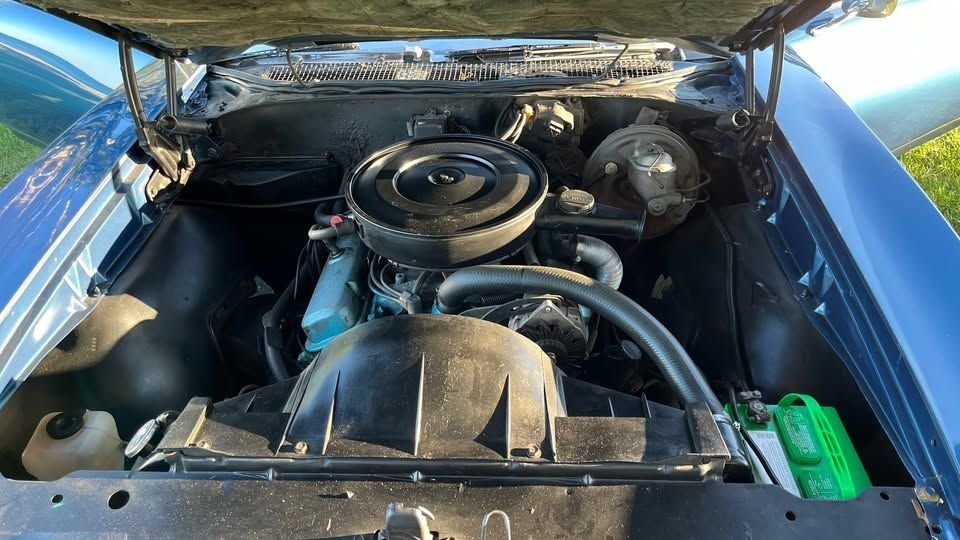 1969 Pontiac Le Mans - Convertible, foto 8