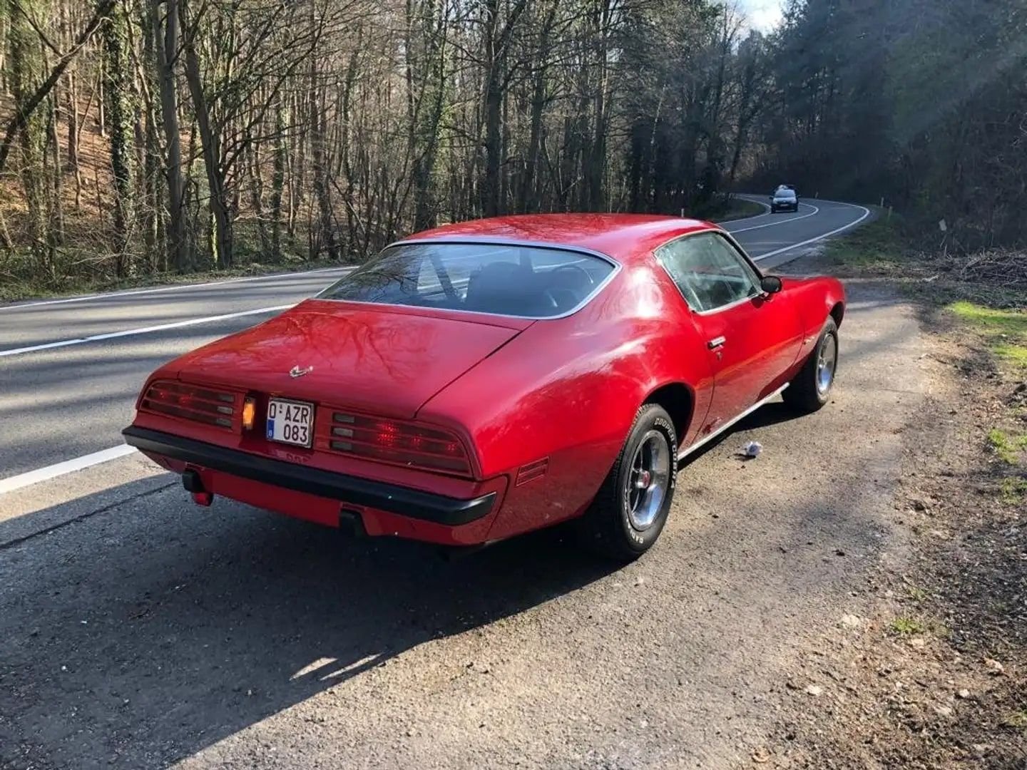 1974 Pontiac Firebird, foto 2