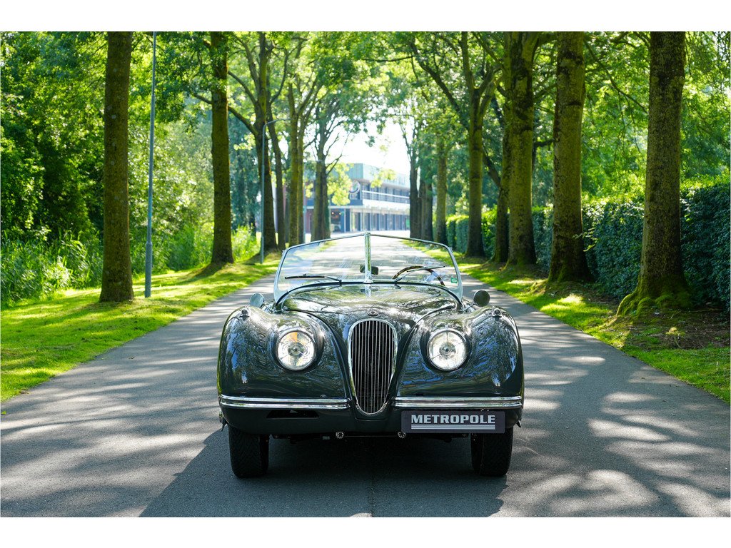 1951 Jaguar XK 120, foto 10