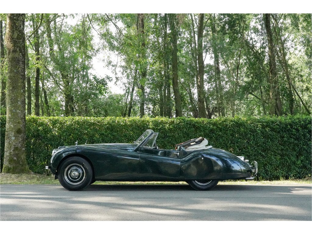 1953 Jaguar XK 150 - 120, foto 2