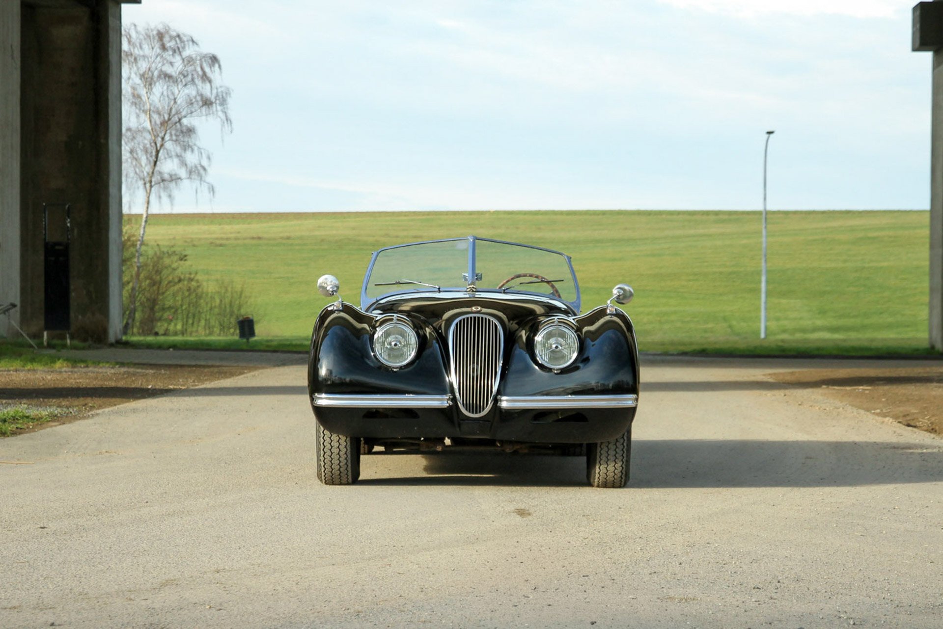 1952 Jaguar XK 120 - OTS - Matching Numbers, foto 7