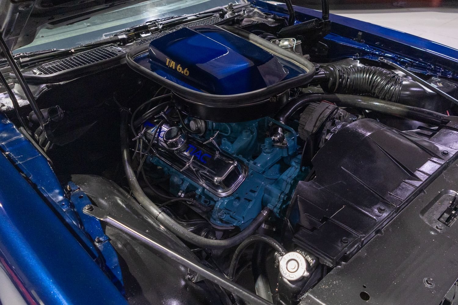 1977 Pontiac Trans Am, foto 4