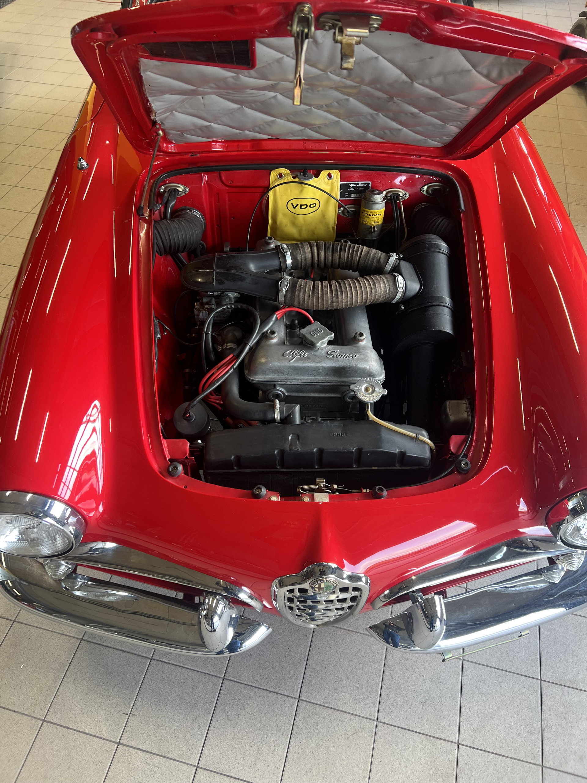 1963 Alfa Romeo Giulia - 1600 Spider — Early Tipo 101 Chassis - Fully restored to the bones., foto 12