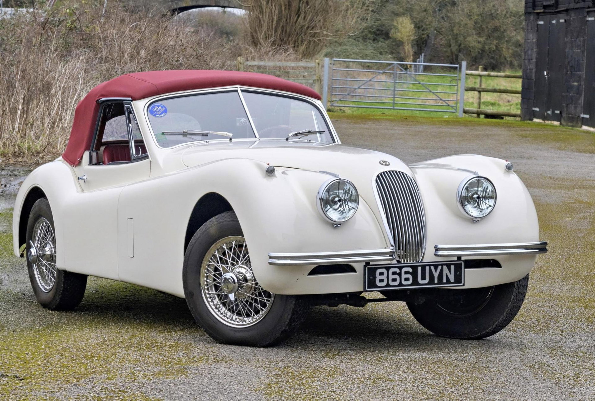 1953 Jaguar XK 120 - SE Drophead Coupe, foto 8