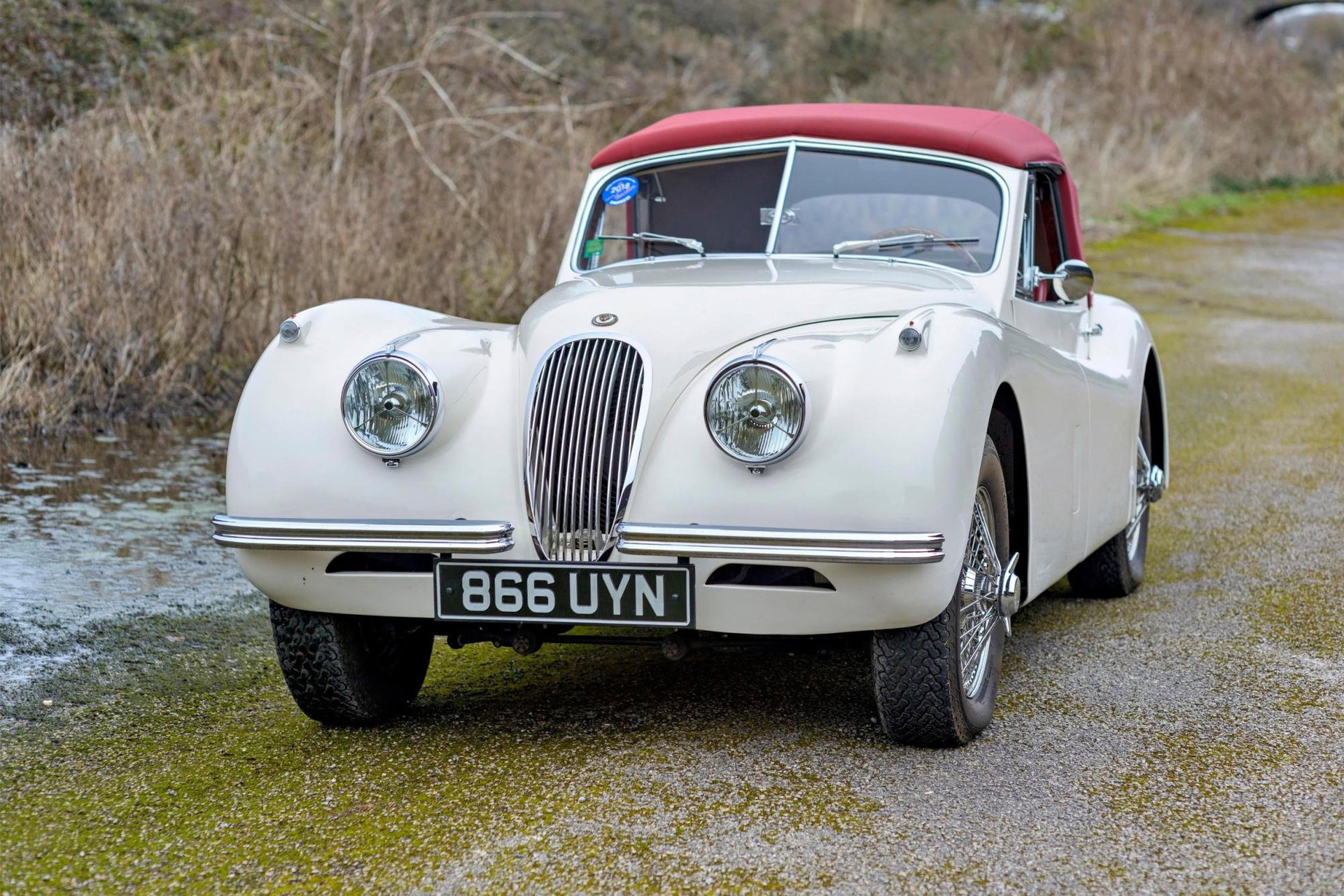 1953 Jaguar XK 120 - SE Drophead Coupe, foto 11