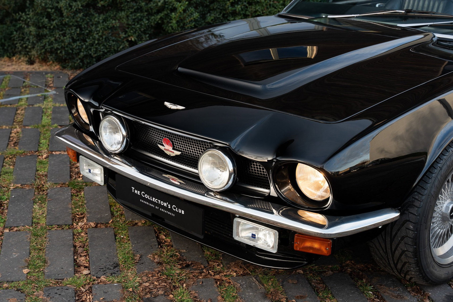 1980 Aston Martin V8 - Volante (ZF manual 5-speed), foto 2
