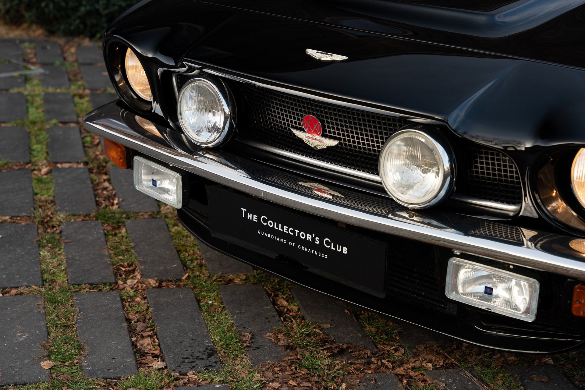 1980 Aston Martin V8 - Volante (ZF manual 5-speed), foto 6