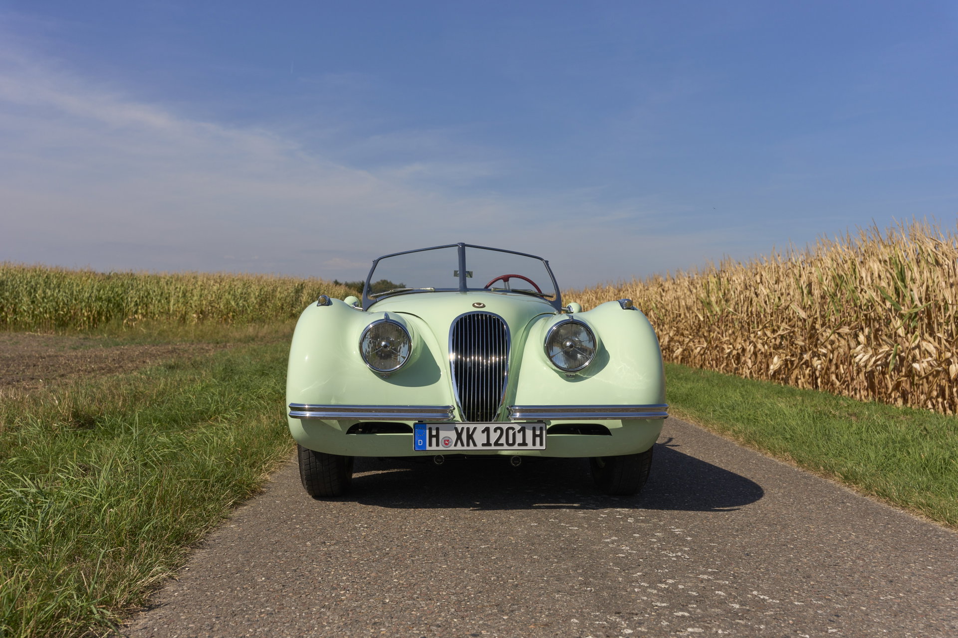 1952 Jaguar XK 120 - XK120 OTS, foto 3