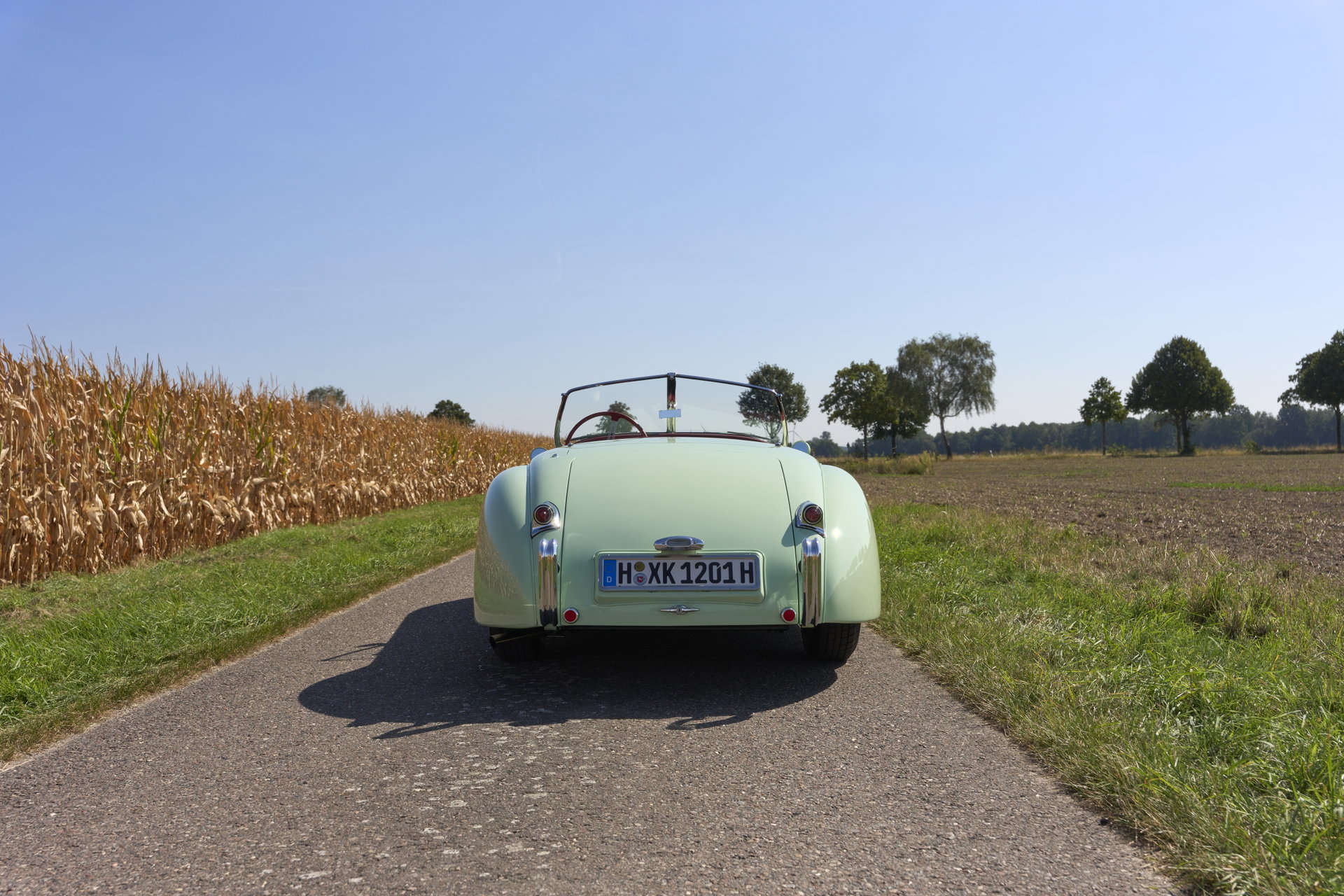1952 Jaguar XK 120 - XK120 OTS, foto 5