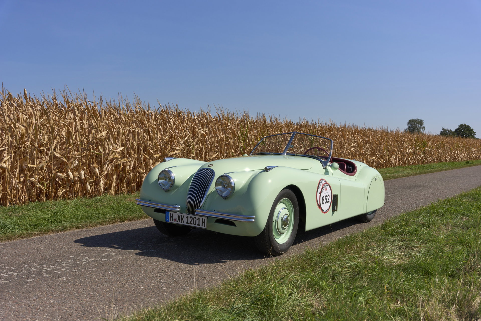1952 Jaguar XK 120 - XK120 OTS, foto 7