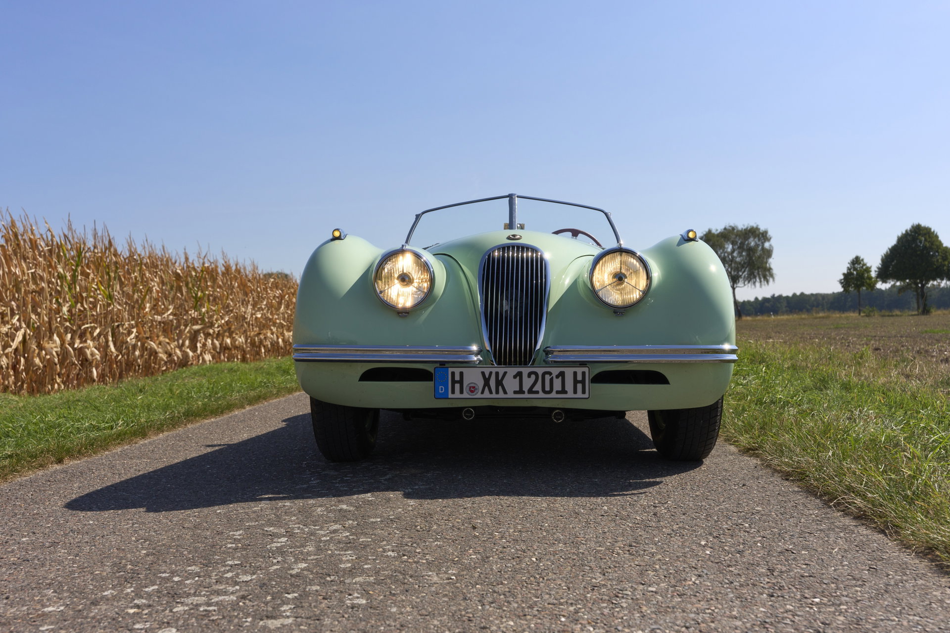 1952 Jaguar XK 120 - XK120 OTS, foto 8