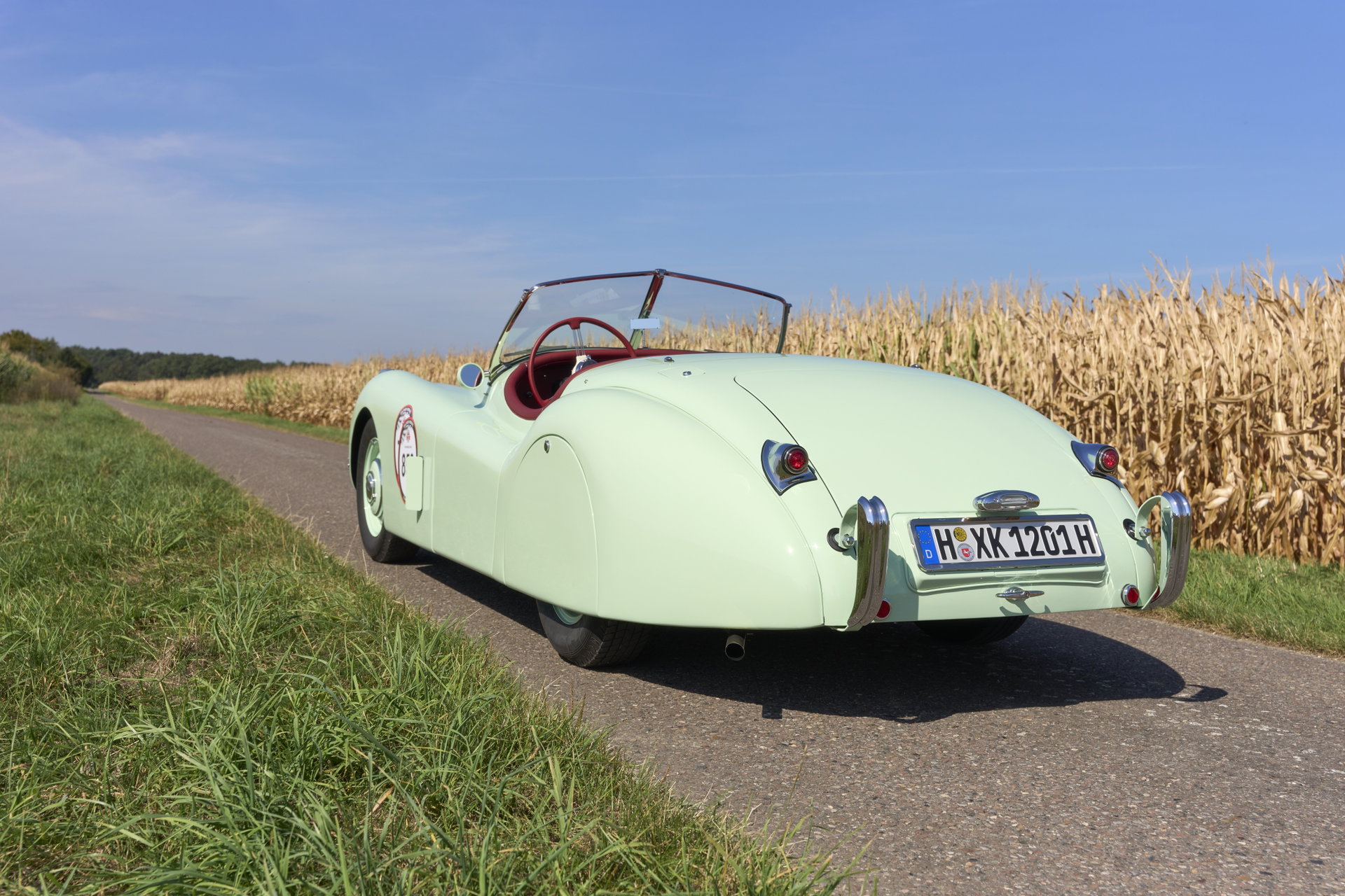 1952 Jaguar XK 120 - XK120 OTS, foto 10