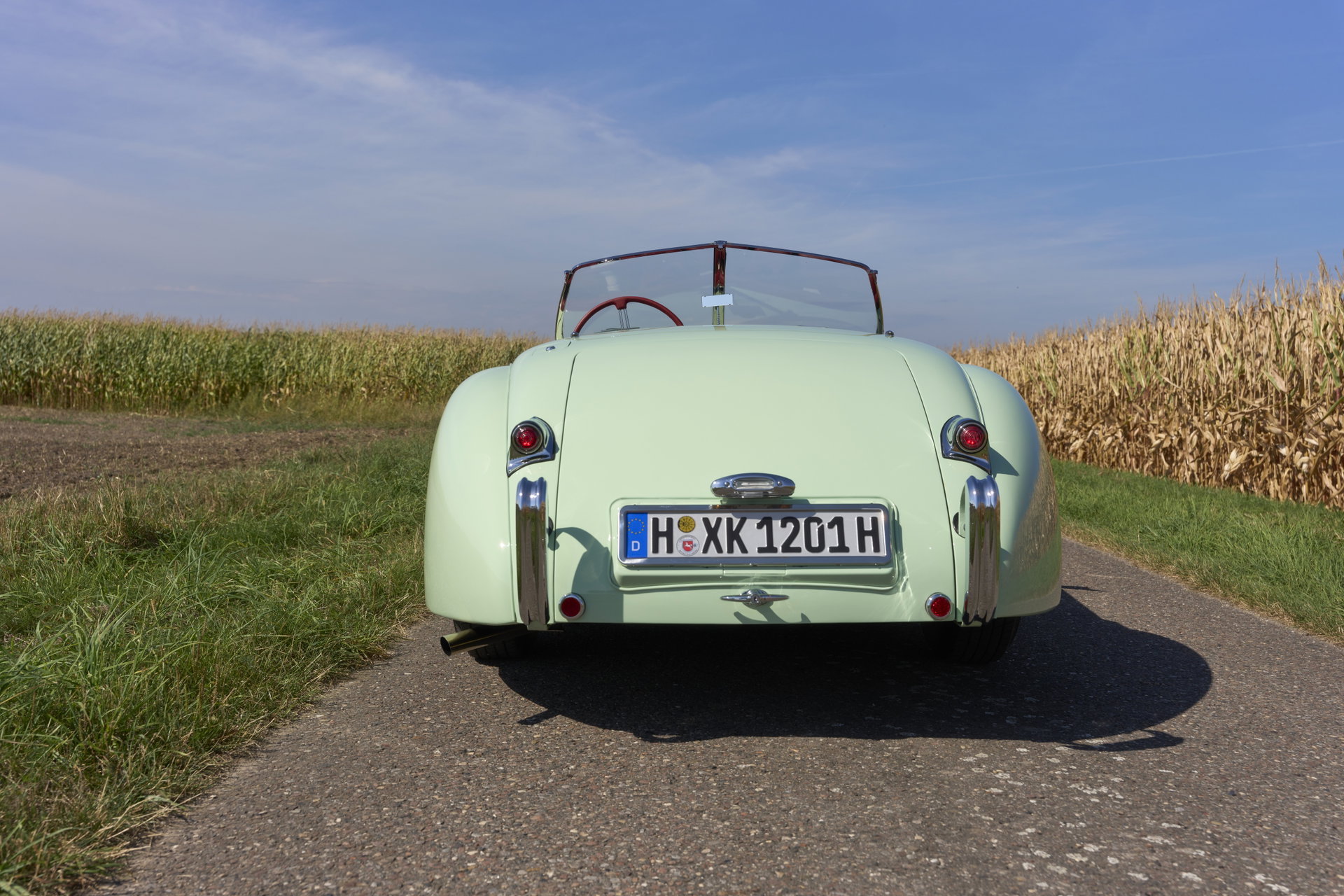 1952 Jaguar XK 120 - XK120 OTS, foto 11