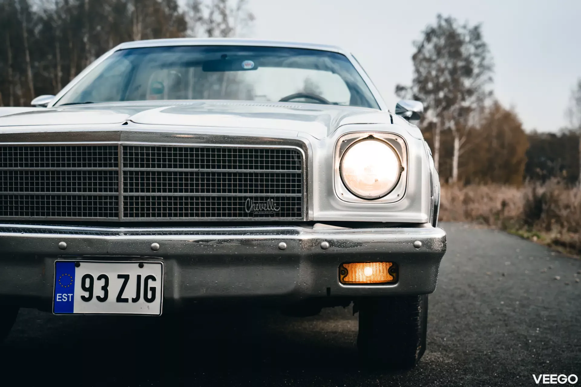 1973 Chevrolet El Camino - Estate, foto 3
